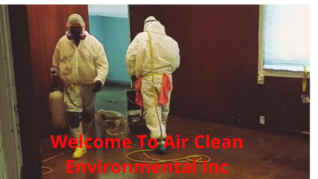 Air Clean Environmental Inc | Best Mold Specialist in Los Angeles, CA