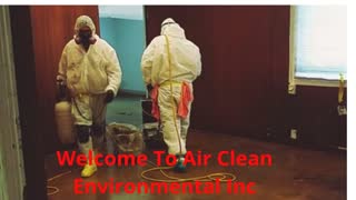Air Clean Environmental Inc | Best Mold Specialist in Los Angeles, CA