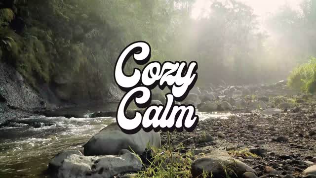 Forest bt the Sea by Beneath the Mountain COZY CALM