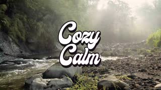 Forest bt the Sea by Beneath the Mountain COZY CALM