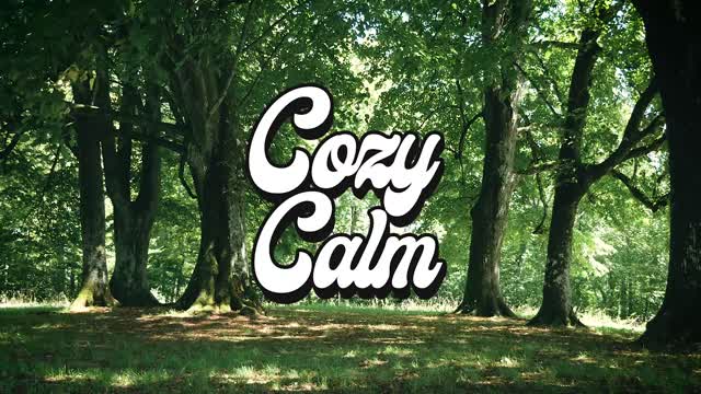 Vapor Fingers Tamuz Dekel COZY CALM