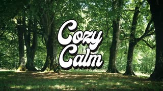 Vapor Fingers Tamuz Dekel COZY CALM