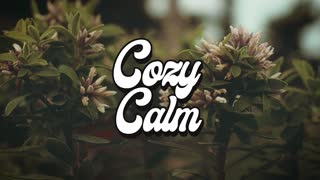 Circle-of-Life - Letra COZY CALM