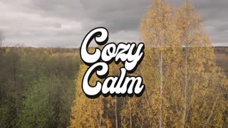 Where the wind blows by Sean Williams COZY CALM