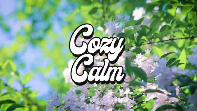 In-the-Clouds - BeStilltheEarth COZY CALM