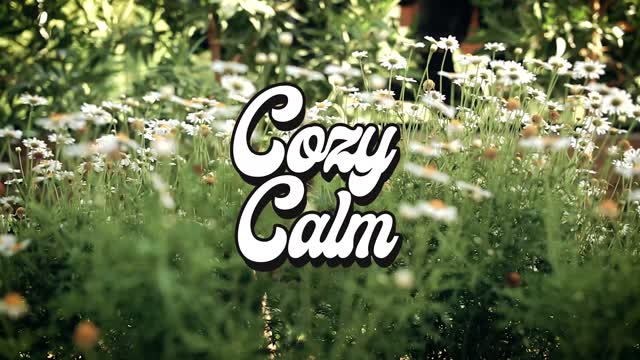 Beneath The Mountain Forest By The Sea Master COZY CALM