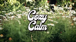 Beneath The Mountain Forest By The Sea Master COZY CALM