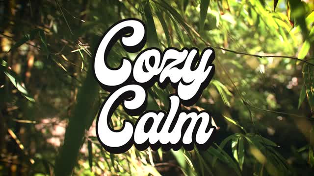 Unconscious Mind by Yotam Agam COZY CALM