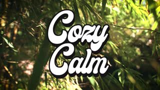 Unconscious Mind by Yotam Agam COZY CALM