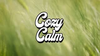 From-All-Who-Came-Before COZY CALM