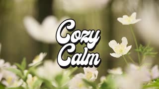 Yahezkel Raz - Flight-Of-Falcor COZY CALM