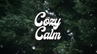 RisingSun - Jupiter-Sands COZY CALM