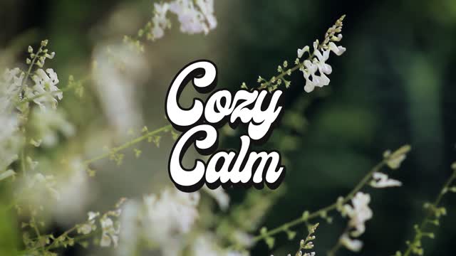 Soft Lights by Kyle Preston COZY CALM