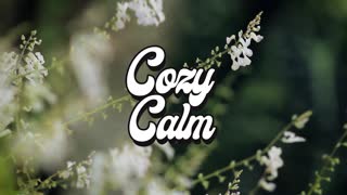 Soft Lights by Kyle Preston COZY CALM