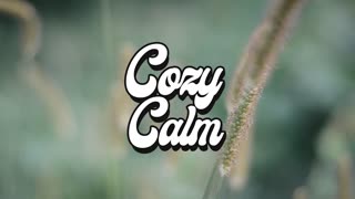 ONE WORD by Christopher galvon ft. Ardie Son  COZY CALM