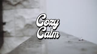 Vacuum by Buddha Kid (COZY CALM)