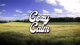 Sleeping Seeds by We Dream of Eden COZY CALM