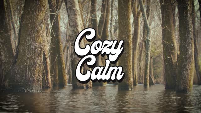 Spirit of Fire COZY CALM