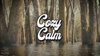 Spirit of Fire COZY CALM