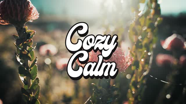 Sean-Robert-Williams Cinematic Beds COZY CALM