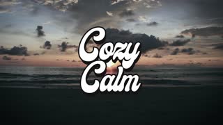 Liquid Memoirs Remnants-of-Forgotten-Worlds COZY CALM