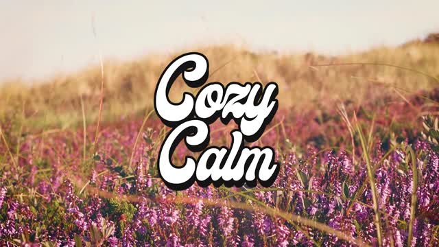 Dear Gravity - Empyrean COZY CALM