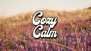 Dear Gravity - Empyrean COZY CALM