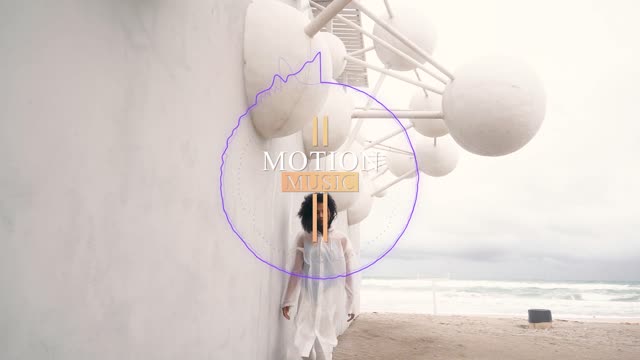 Tee Grizzley IDGAF ft Chris Brown  Mariah The Scientist MOTION MUSIC