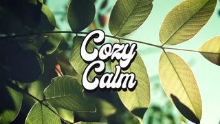 Risian Carry On Master COZY CALM