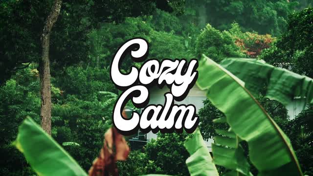 Soft Lights COZY CALM