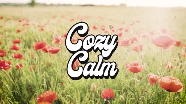6Sol - Yotam Agam COZY CALM