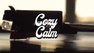 Changed - Jon Gegelman COZY CALM