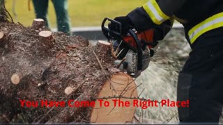 Elevated Tree Care - #1 Tree Removal in Pittsburgh, PA
