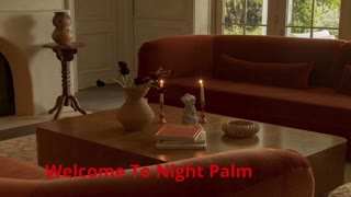 Night Palm - Restaurant Designer in Los Angeles, CA