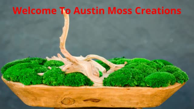 Austin Moss Creations | Living Moss Wall Art