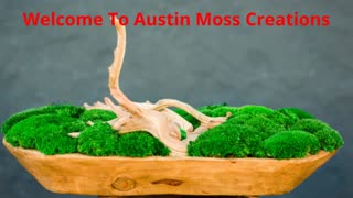 Austin Moss Creations | Living Moss Wall Art