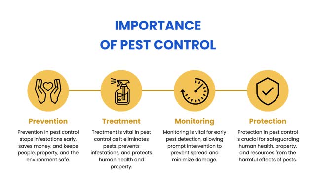 Pest Control Services in Bangalore