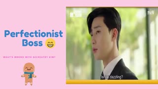 Perfectionist Boss | What's wrong with secretary kim?