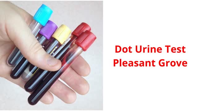ROSQUIST DOT TESTING CLINIC : Dot Urine Test in Pleasant Grove, UT