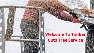 Timber Cuts Tree Removal Service in Kaysville, UT