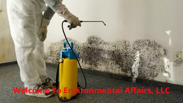 Environmental Affairs, LLC - Asbestos Removal in Orion Township, MI