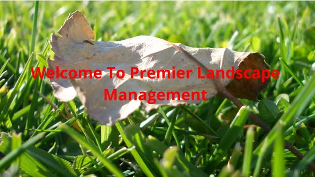 Premier Landscape Management : Landscaping in Sanford, FL