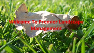 Premier Landscape Management : Landscaping in Sanford, FL