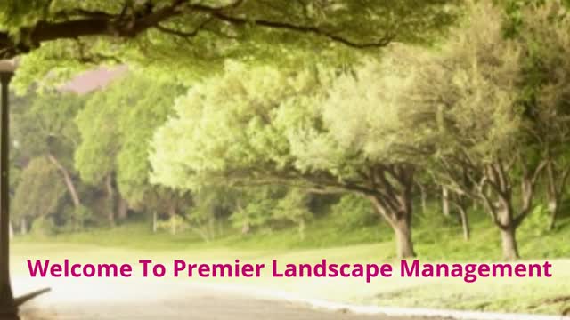 Premier Landscape Management : Lawn Maintenance in Sanford, FL