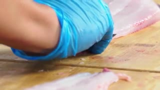 How to Fillet every Fish | Part 3