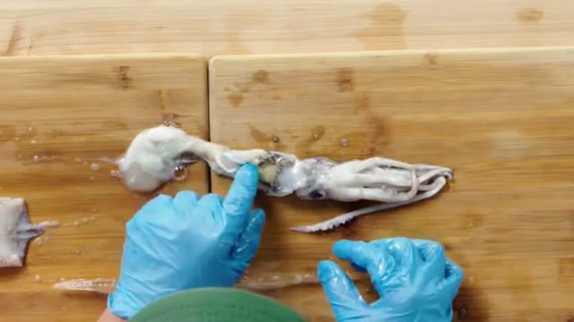 How to Fillet every Fish | Part 6