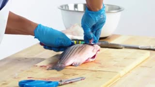 How to Fillet every Fish | Part 2