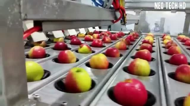 Food Industry Machines