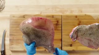 How to Fillet every Fish | Part 5