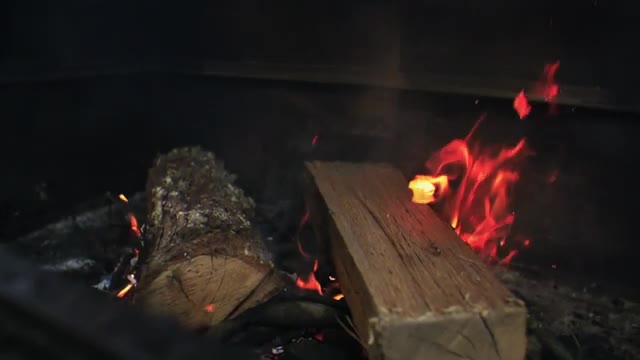 Leadership w NEWTON'S 3 law of motions